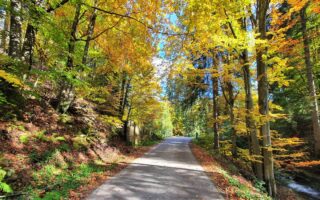 Karpaty: Barania Góra trasa
