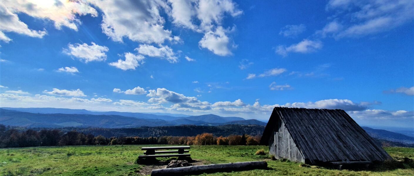 Hala Jaworowa widok