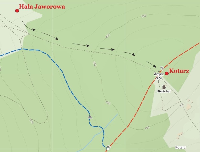 Hala Jaworowa: Nieoznaczony szlak na Kotarz z Hali Jaworowej