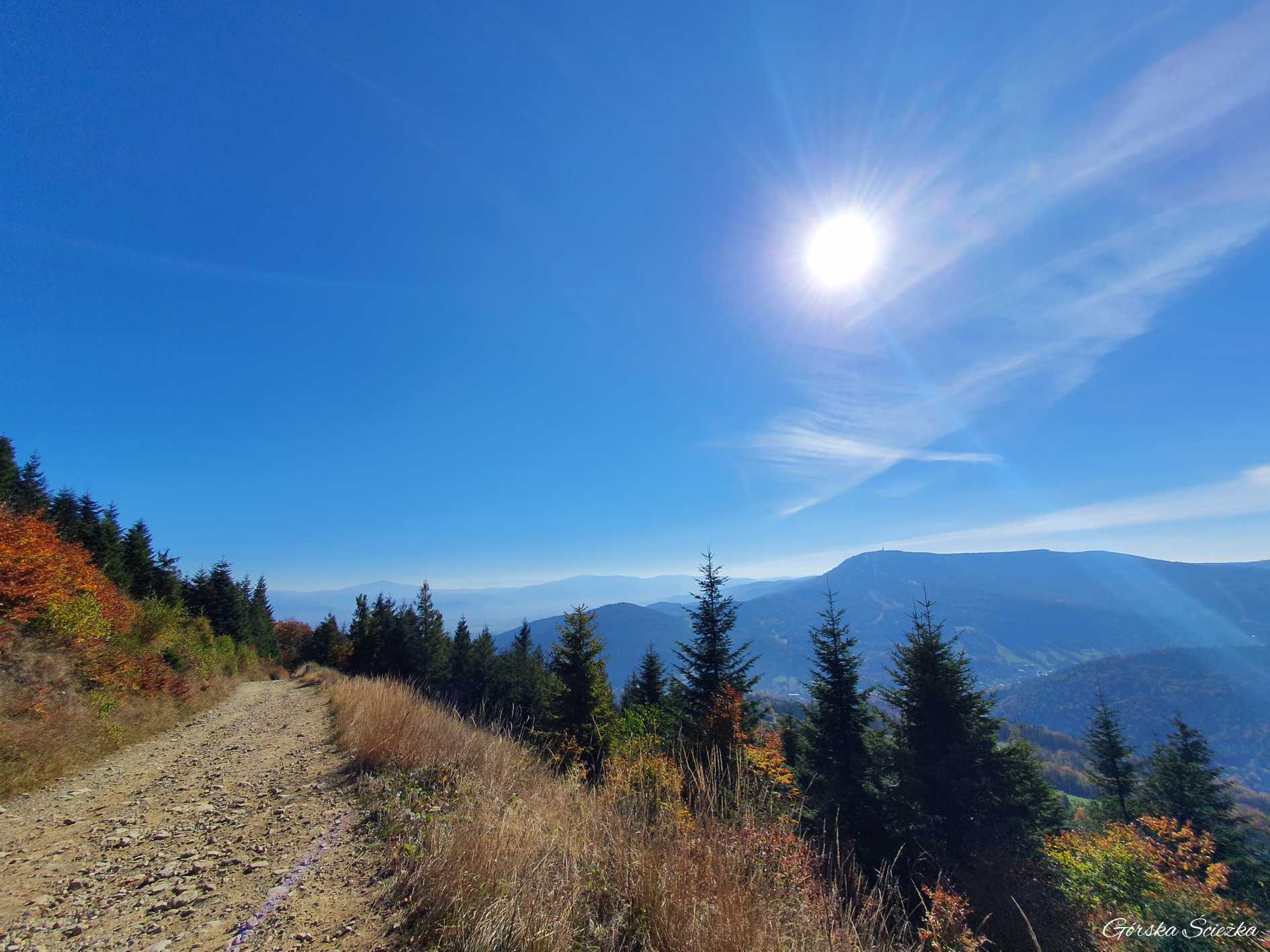 Klimczok i Szyndzielnia: Widok ze szlaku zielonego na Beskid Śląski oraz w tle na Babią Górę
