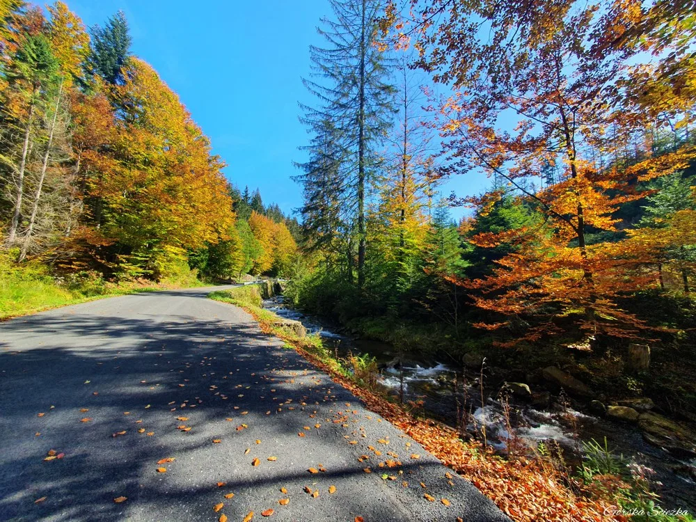 Barania Góra przez Czarną i Białą Wisełkę Górska Ścieżka