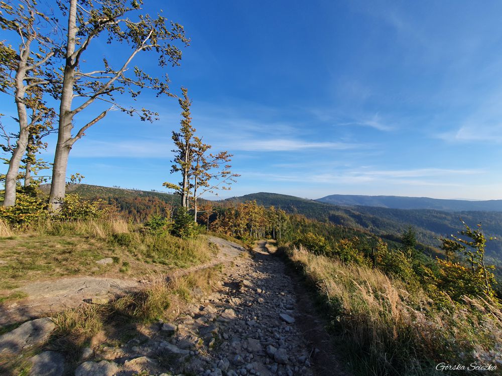Widok ze szlaku czerwonego
