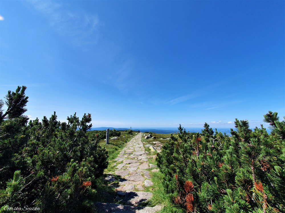 Śnieżne Kotły w Karkonoszach: Początek szlaku żółtego