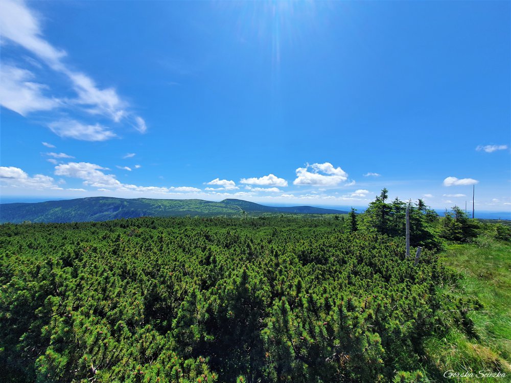 Śnieżne Kotły w Karkonoszach: Widok na czeską stronę Karkonoszy