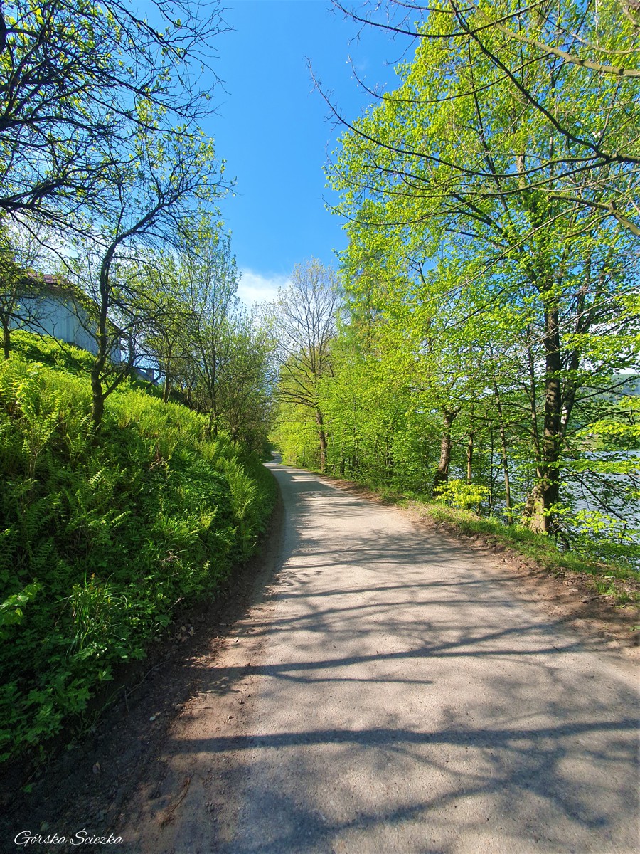 Przebieg szlaku czerwonego ponad zabudowaniami mieszkalnymi