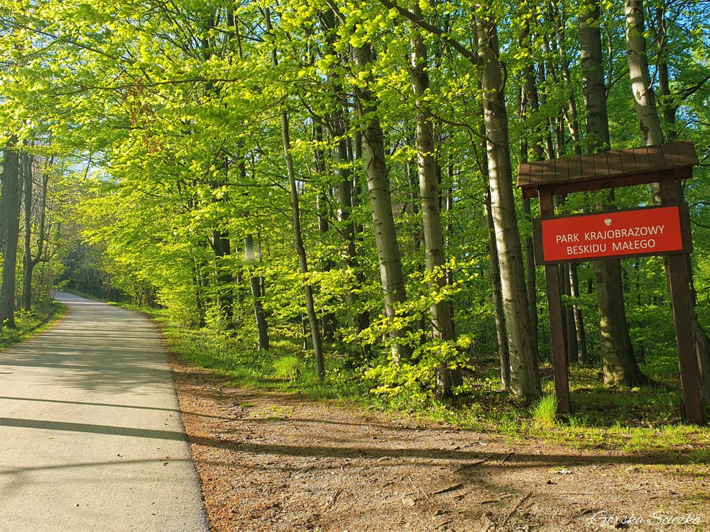 Hrobacza Łąka: Fragment szlaku żółtego przed zabudowaniami mieszkalnymi
