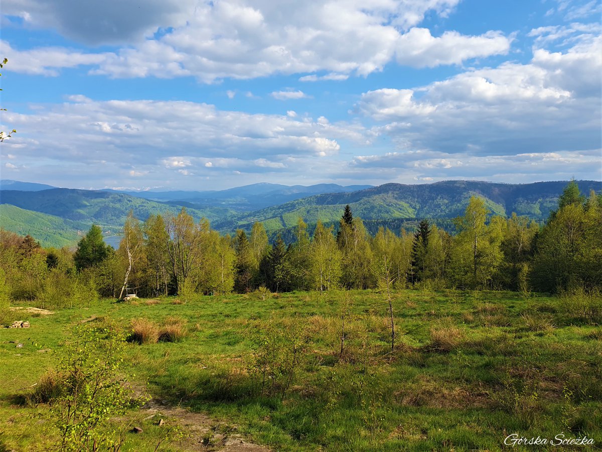 Hrobacza Łąka: Panorama z Polany na Hrobaczej