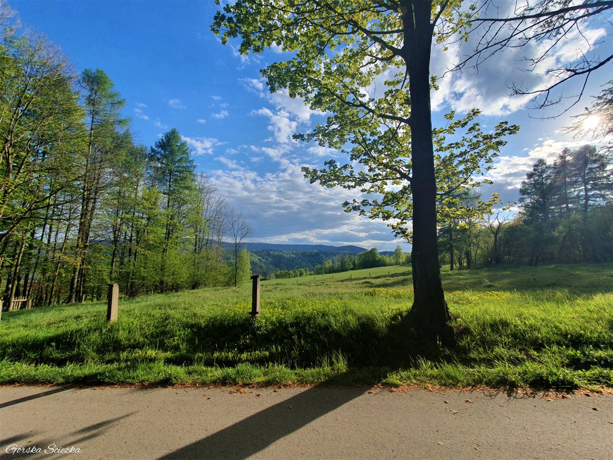Hrobacza Łąka: Asfaltowa część szlaku żółtego