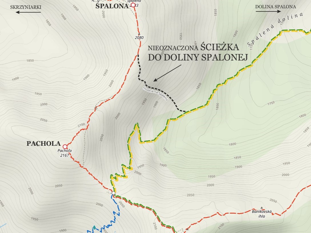 Salatyn i Brestowa: Nieoznaczona ścieżka do Doliny Spalonej