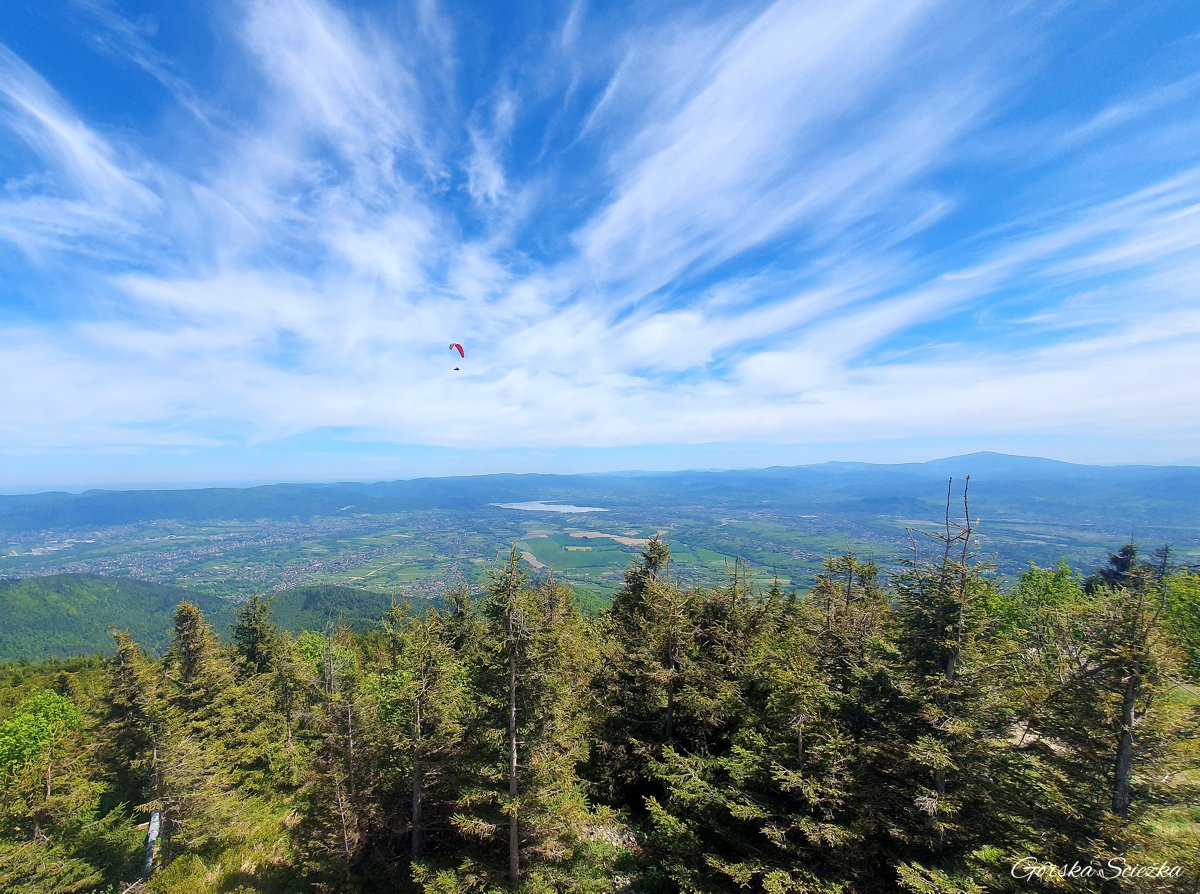 Skrzyczne: Panorama Skrzyczne