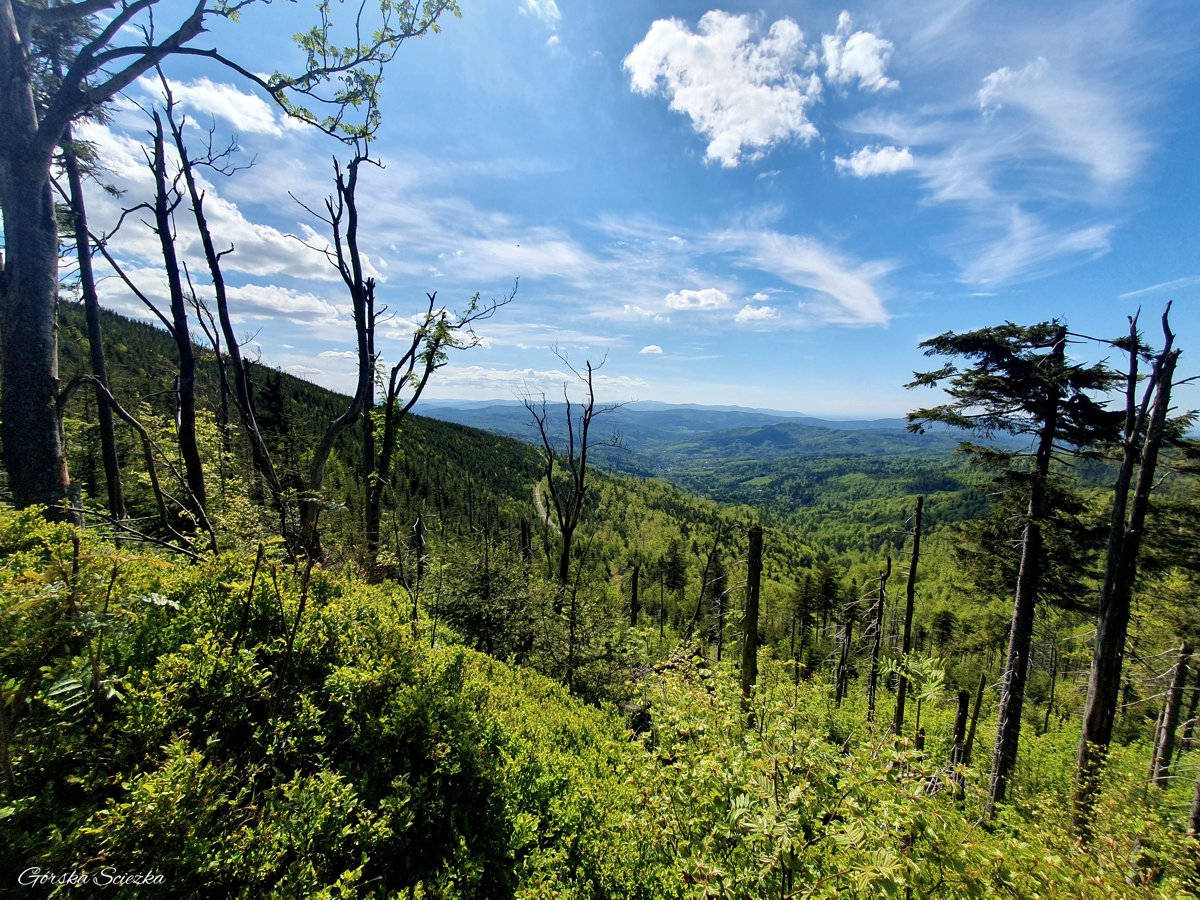 Skrzyczne, Malinowska Skała i Zielony Kopiec: Panorama z okolic Zielonego Kopca