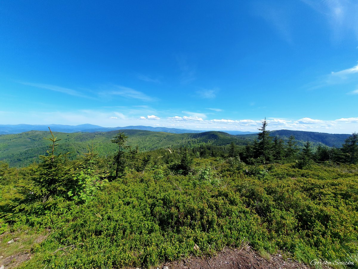 Skrzyczne, Malinowska Skała i Zielony Kopiec: Panorama z Zielonego Kopca