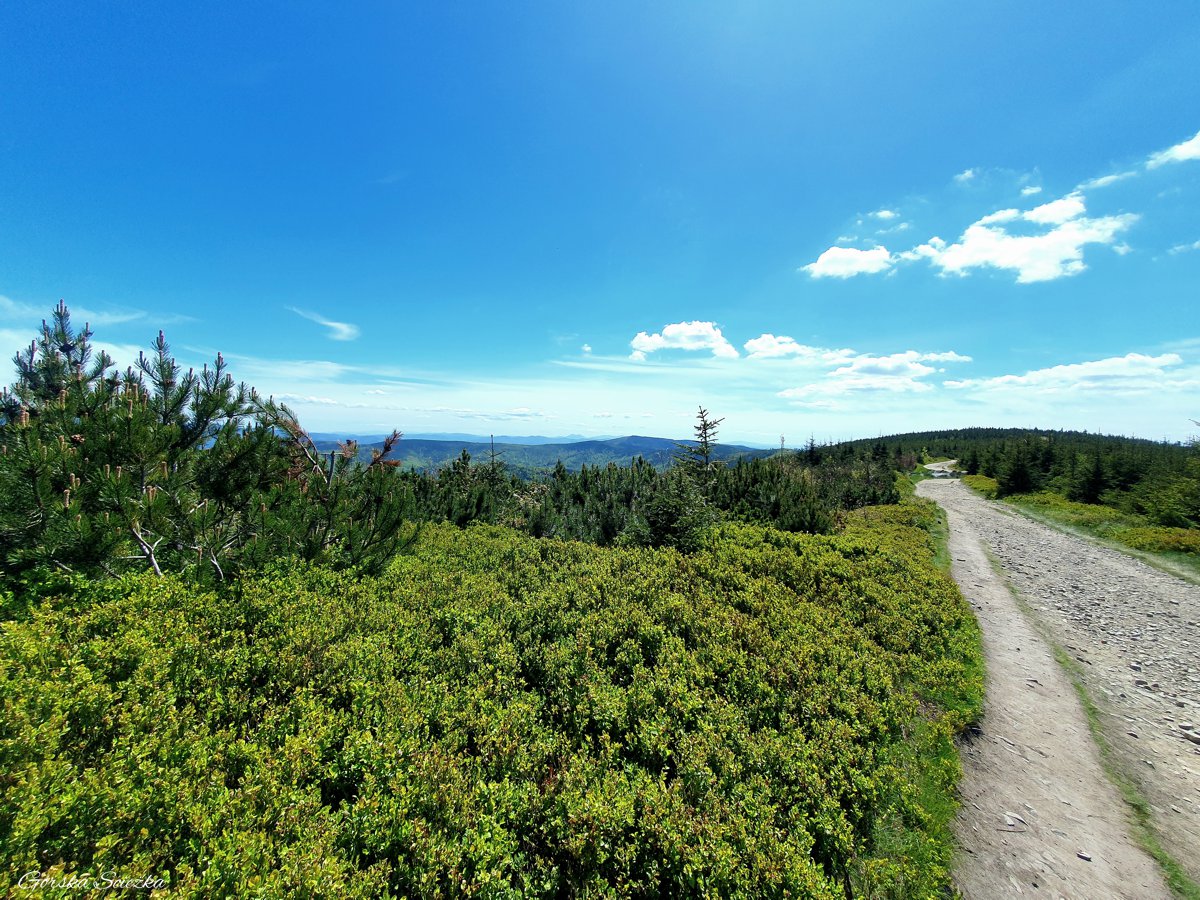 Skrzyczne, Malinowska Skała i Zielony Kopiec: Szlak na Malinowską Skałę