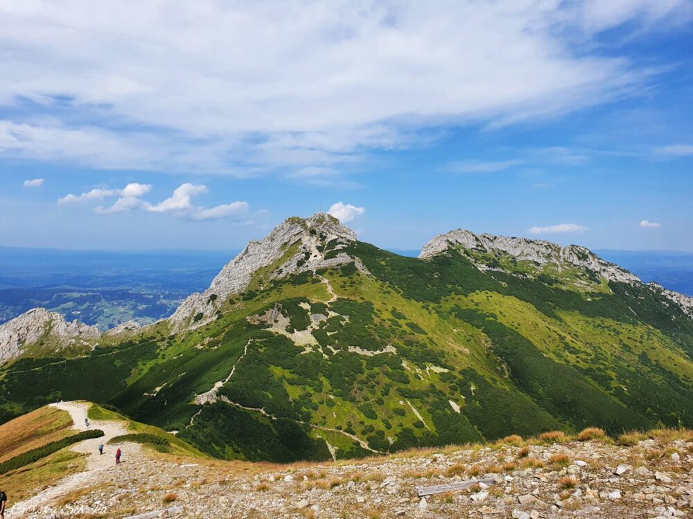 Z Kasprowego Wierchu na Czerwone Wierchy - Górska Ścieżka