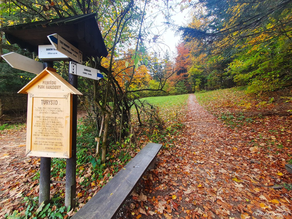 Zamek Pieniński: Bańków Gronik