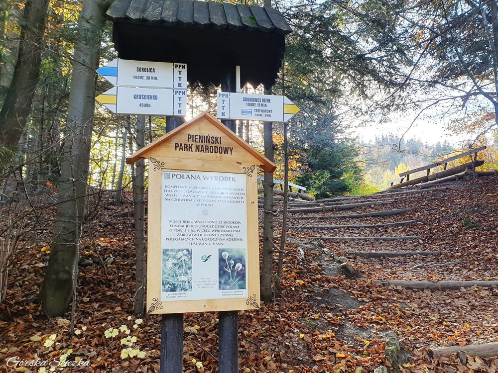 Zamek Pieniński: Polana Wyrobek