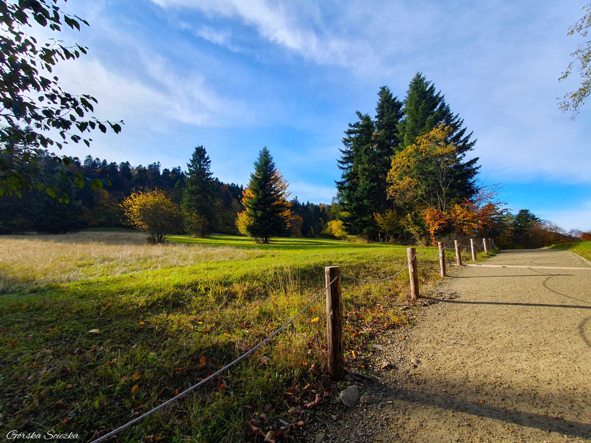 Zamek Pieniński: Szlak żółty do Bańków Gronik
