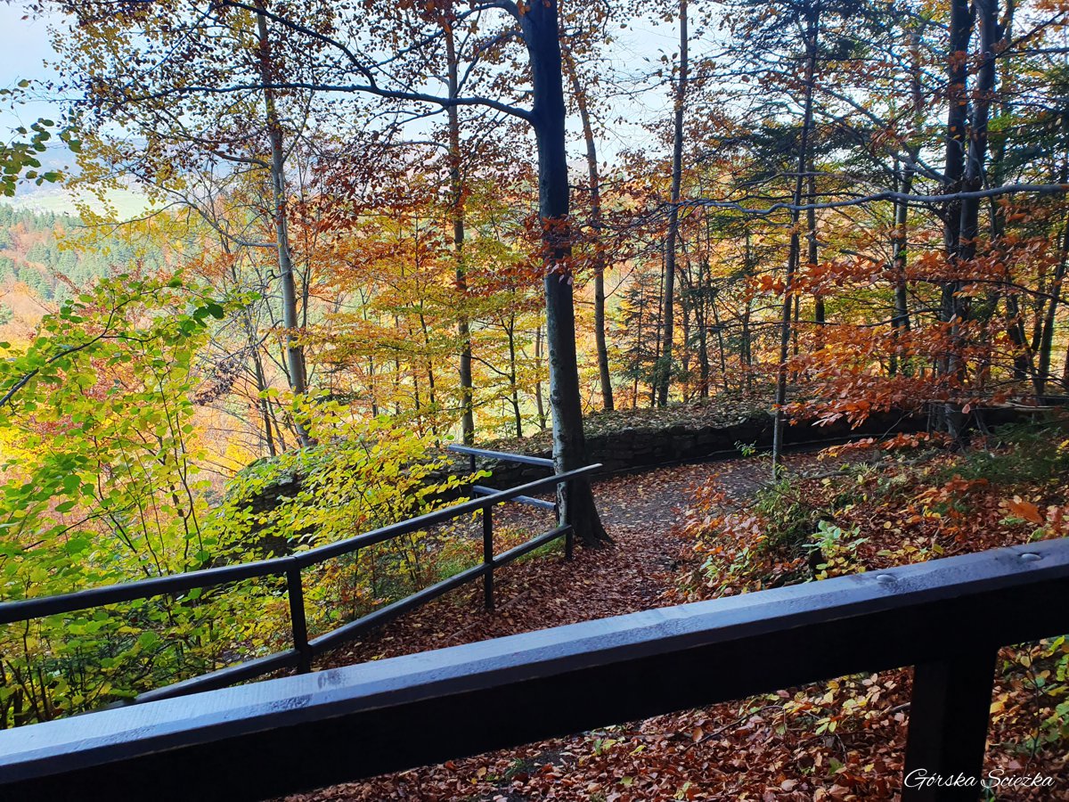 Zachowany odcinek muru Pienińskiego Zamku