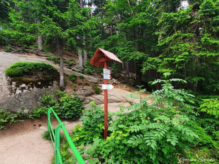 Zapora na Łomnicy w Karpaczu: Szlak czerwony na Karpatkę