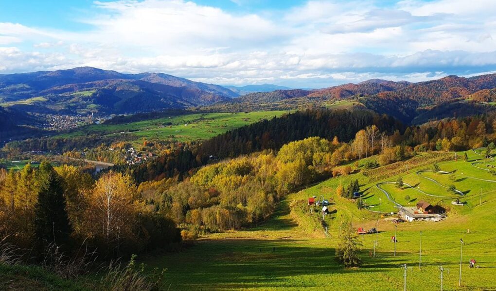 Szafranówka Szczawnica