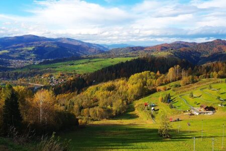 Szafranówka Szczawnica