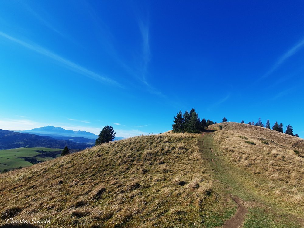 Wysoki Wierch: Końcowe podejście na Wysoki Wierch