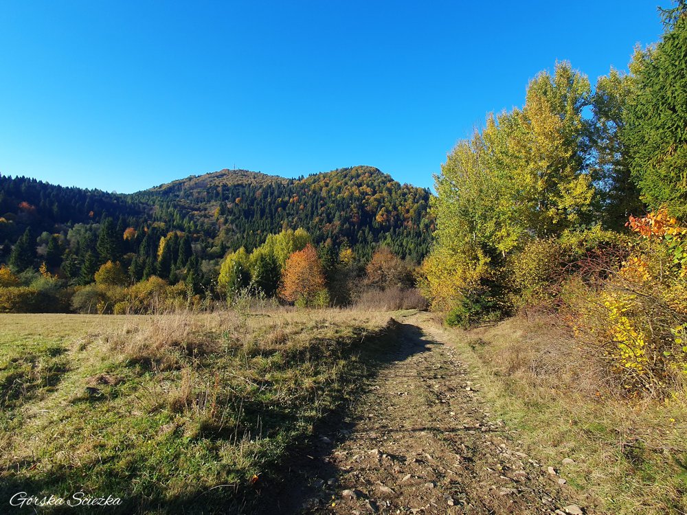 Wysoki Wierch: Fragment szlaku żółtego