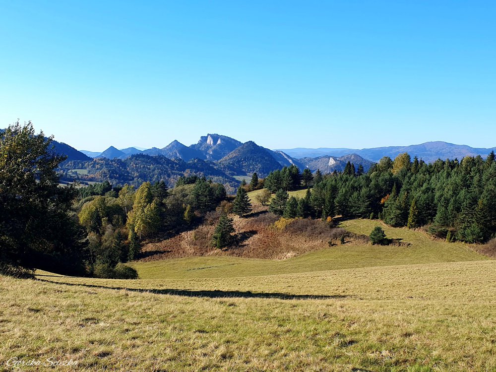 Wysoki Wierch: Widok na Trzy Korony w okolicy Pod Huściawą