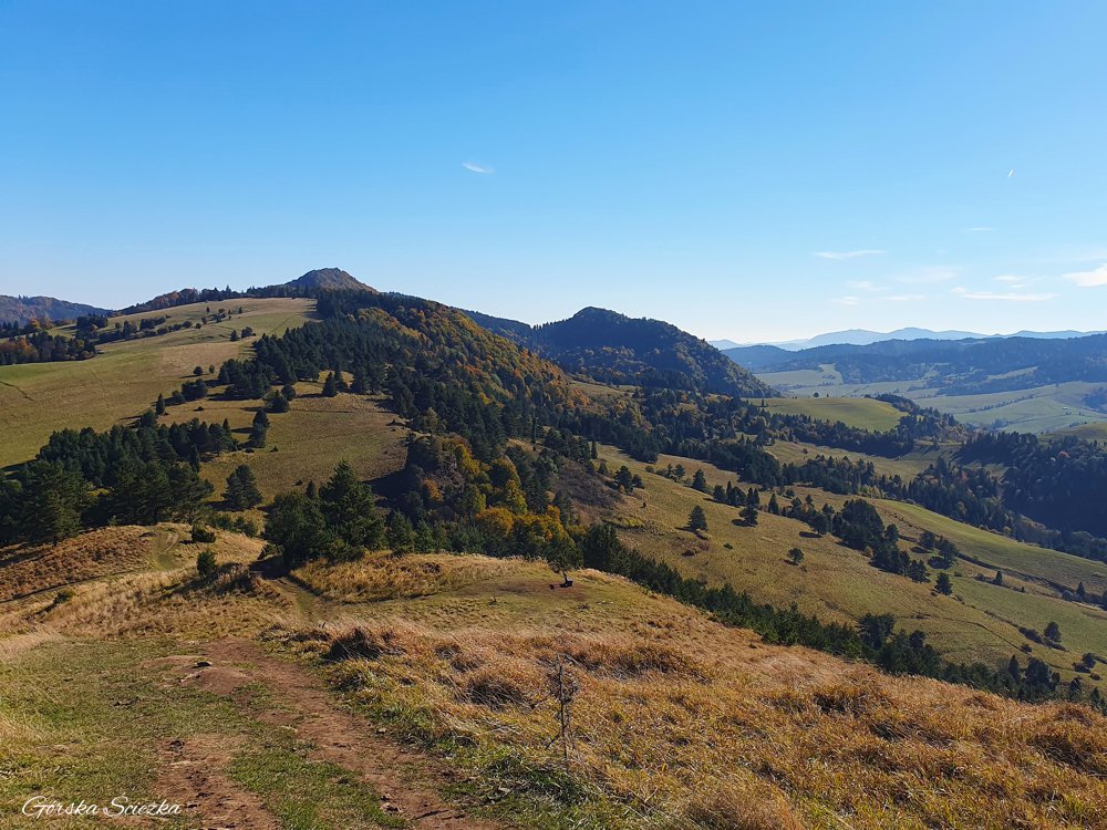 Wysoki Wierch: Panorama z Wysokiego Wierchu