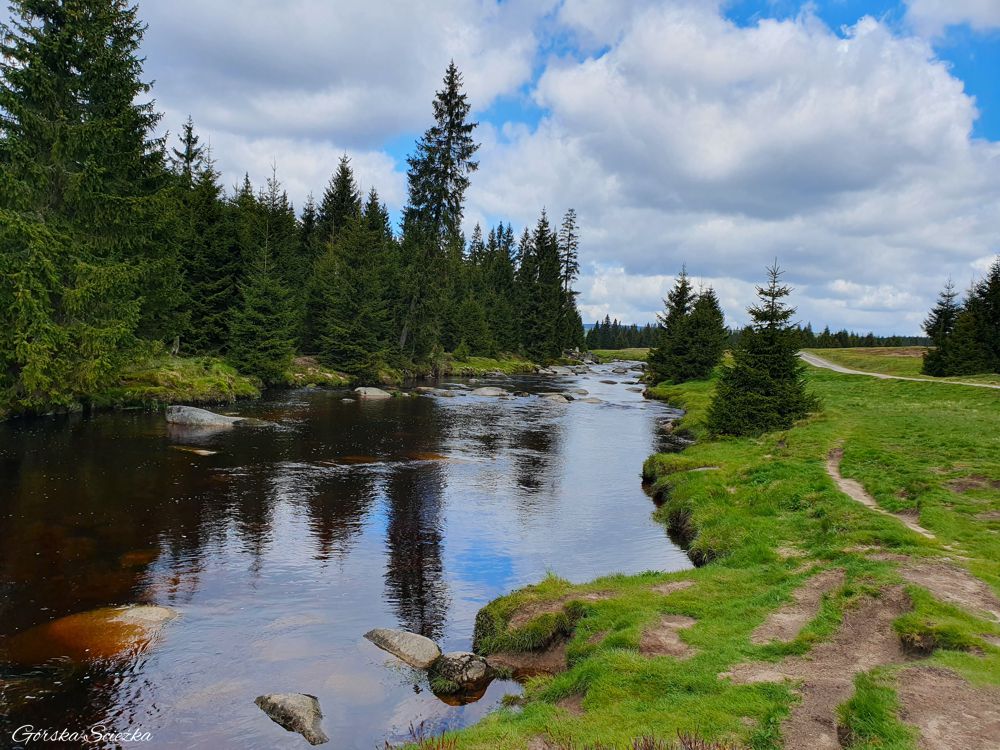 Chatka Górzystów: Dolina Izery