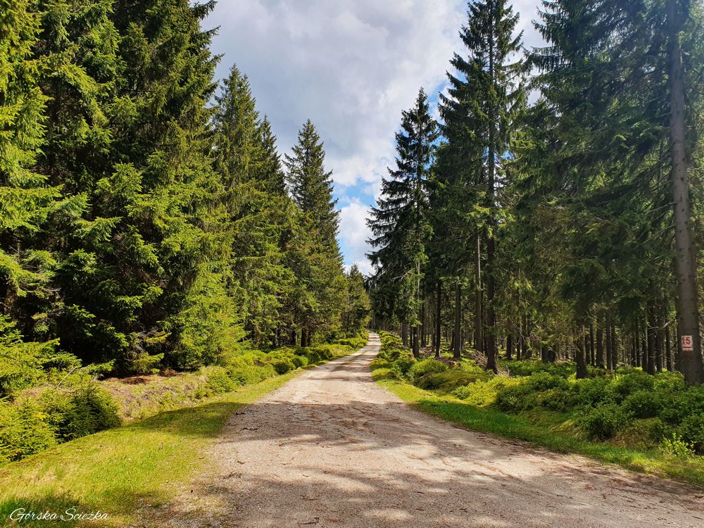 Chatka Górzystów: Niebiesko - żółty szlak od schroniska