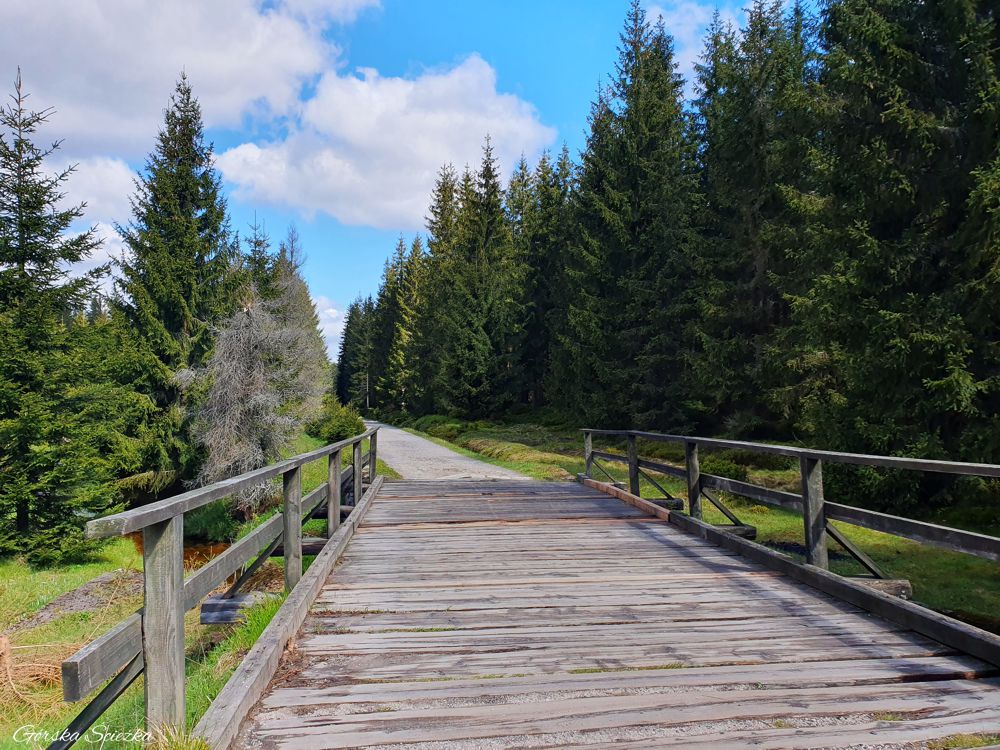 Chatka Górzystów: Początek szlaku czerwonego