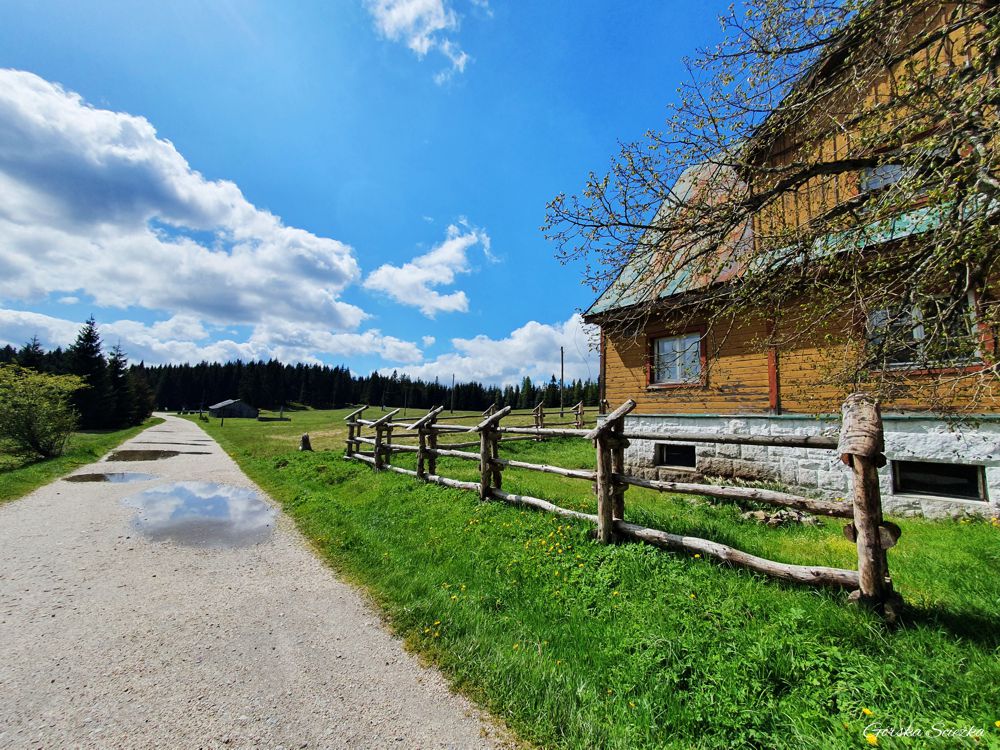 Chatka Górzystów: Początek szlaku ze Schroniska Orle