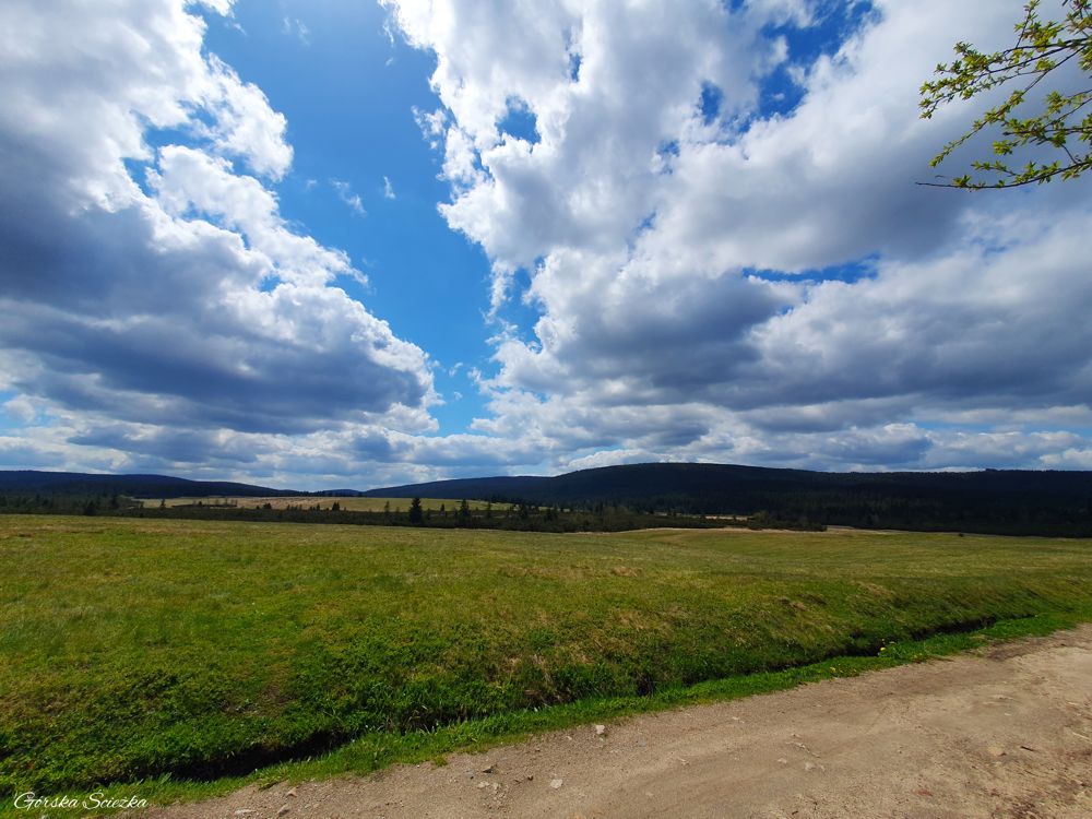 Chatka Górzystów: Widok na Halę Izerską z Chatki Górzystów