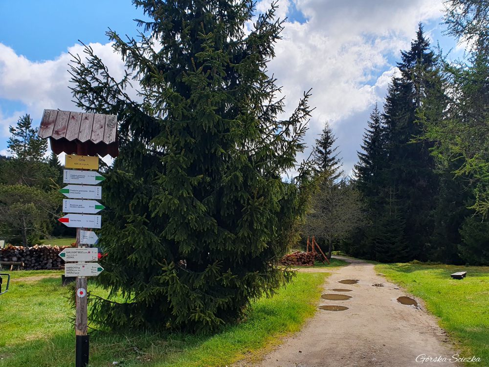 Stacja Turystyczna Orle: Kierunkowskaz przed Schroniskiem Orle