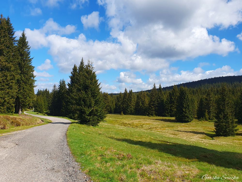 Stacja Turystyczna Orle: Polana przed Schroniskiem Orle