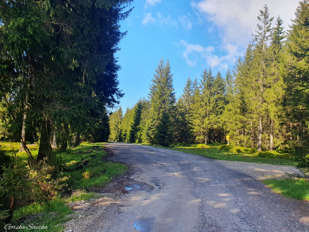 Stacja Turystyczna Orle: Początek szlaku do Schroniska Orle