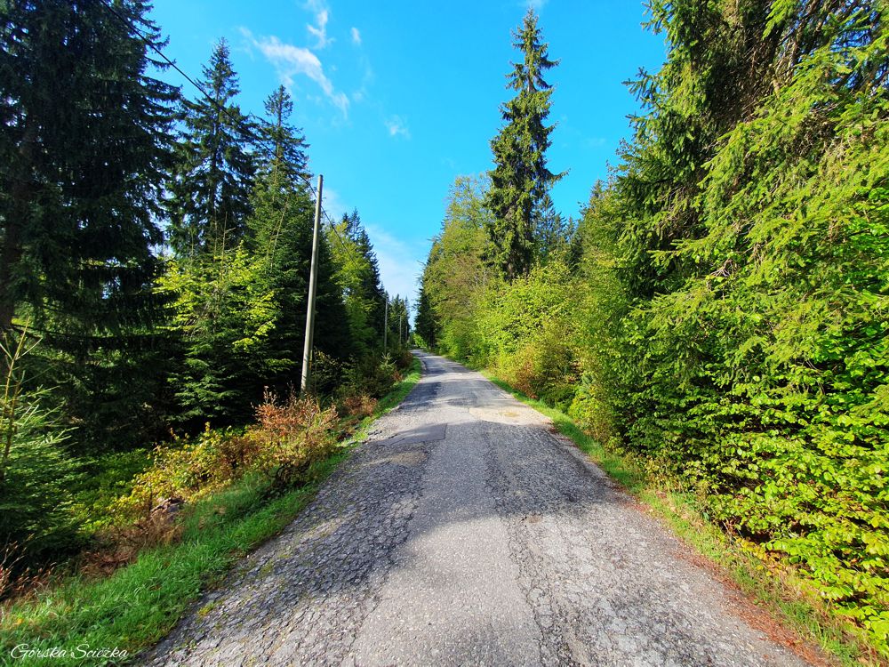 Stacja Turystyczna Orle: Szlak żółty do Stacji Turystycznej Orle