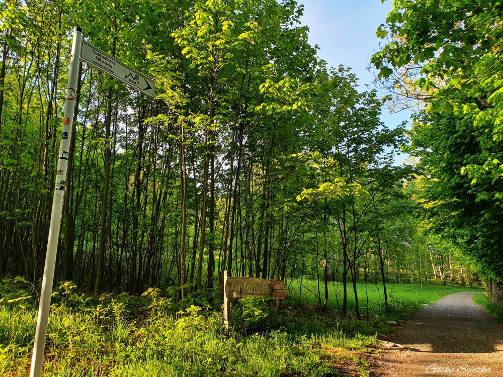Wysoki Kamień: Trasa do punktu widokowego obok szlaku