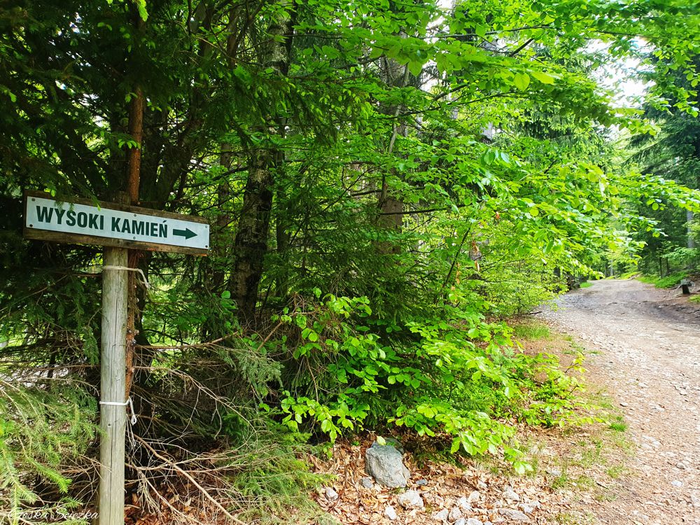 Wysoki Kamień: Szlak czerwony na Wysoki Kamień