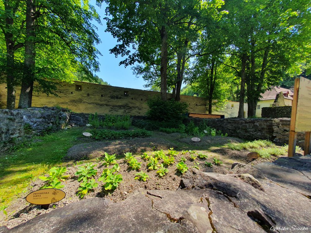 Czerwony Klasztor: Ogród zielarski na Głównym Dziedzińcu