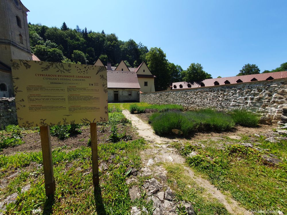 Czerwony Klasztor: Ogród zielarski na Głównym Dziedzińcu