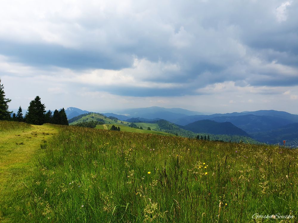 Durbaszka i Schronisko pod Durbaszką: Przed szczytem Durbaszki, widok na Wysoki Wierch