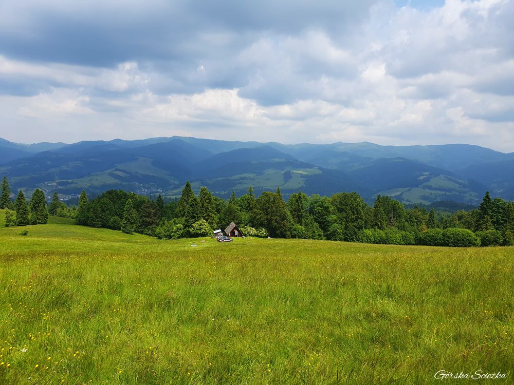 Durbaszka i Schronisko pod Durbaszką: Panorama podczas podejścia na szczyt