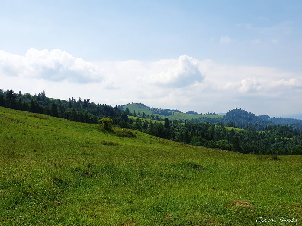 Durbaszka i Schronisko pod Durbaszką: Panorama z podejścia na Durbaszkę