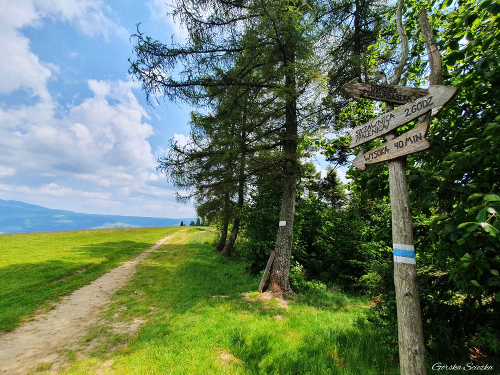 Durbaszka: Przy szczycie Durbaszki