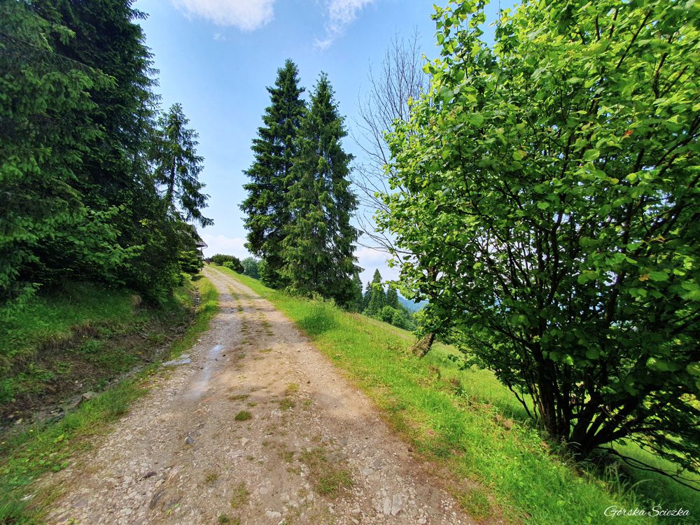 Durbaszka i Schronisko pod Durbaszką: Trasa na Durbaszkę