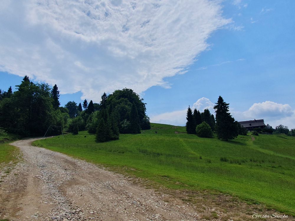 Durbaszka i Schronisko pod Durbaszką: Końcowe podejście przed Schroniskiem pod Durbaszką