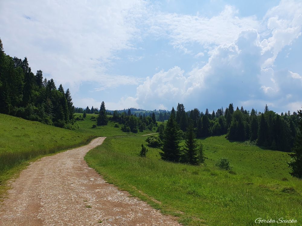 Durbaszka i Schronisko pod Durbaszką: Trasa na Durbaszkę