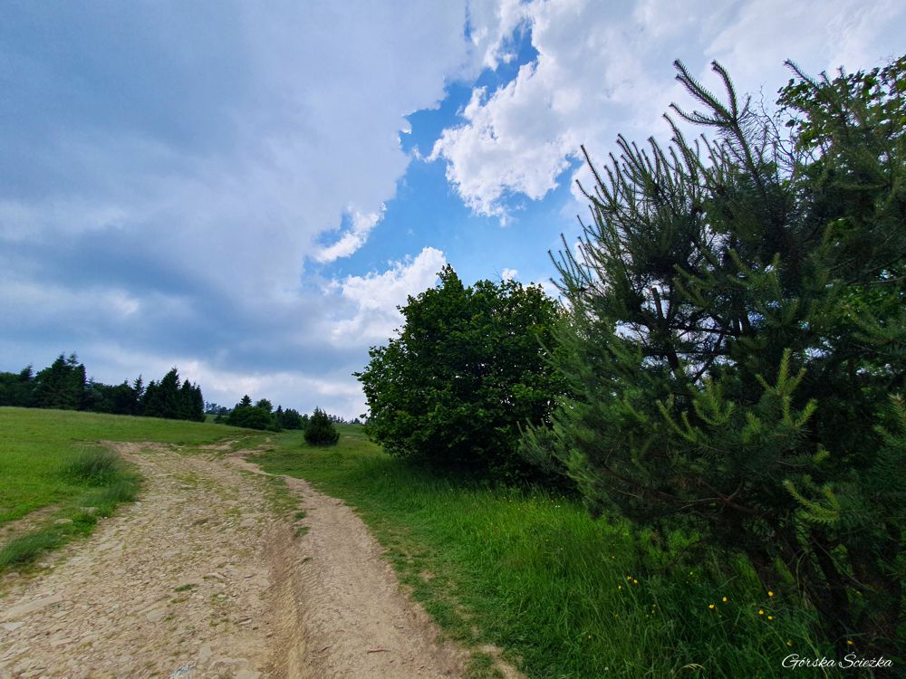 Durbaszka i Schronisko pod Durbaszką: Początek podejścia na szczyt Durbaszki